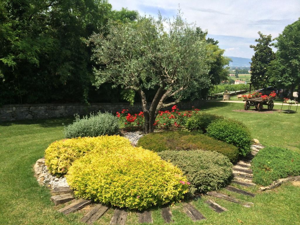 Agriturismo Al Colle Del Ciliegio Rovolon Exterior photo